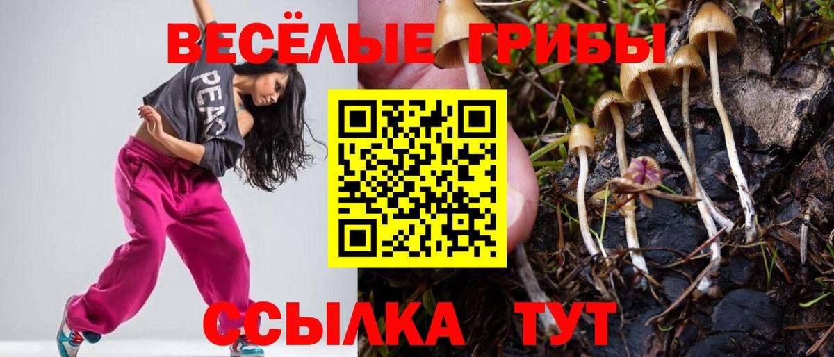 Галлюциногенные грибы GOLDEN TEACHER  Галлюциногенные грибы мицелий  Шали  Вход с VPN 