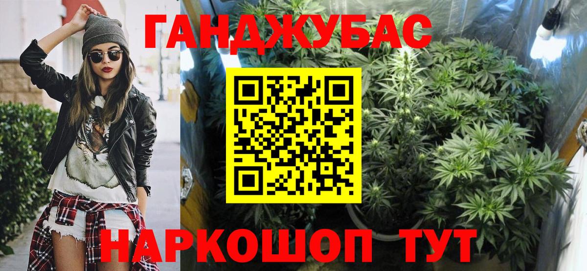 Марихуана сатива Шали